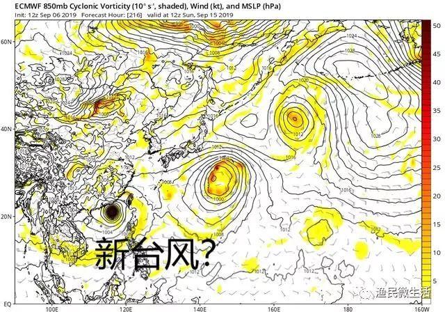 宁德台风网最新消息，台风动态与应对措施