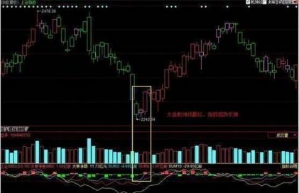 轻松指到钱来，如何下载最新版软件并获取价值