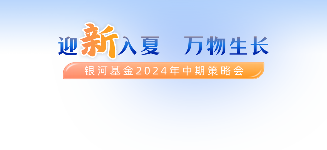 新澳门中特期期精准解析与落实策略