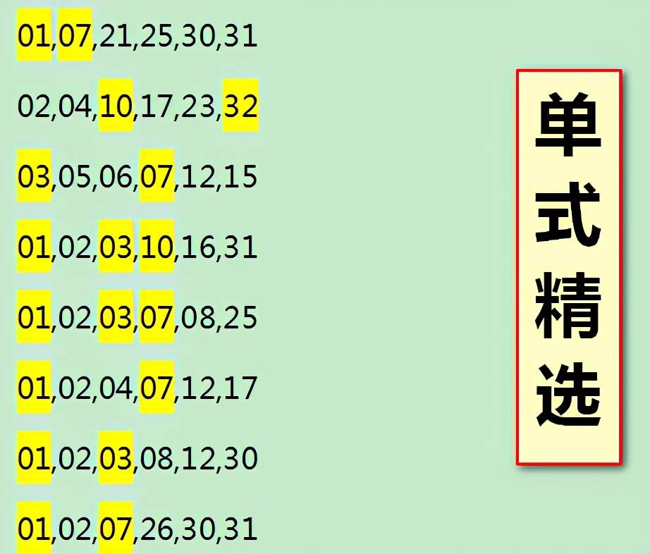 雷锋站长独家心水码澳门精选解析落实策略