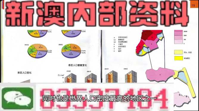 新澳门资料大全正版资料，精选解释解析与落实策略