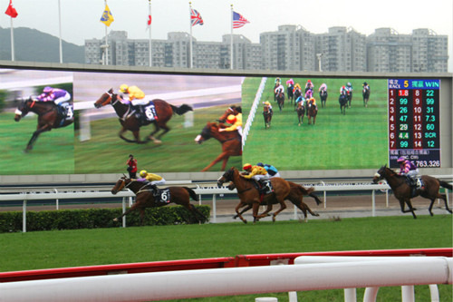 解析香港特马赛事，从预测到落实的全方位解读（精选篇）