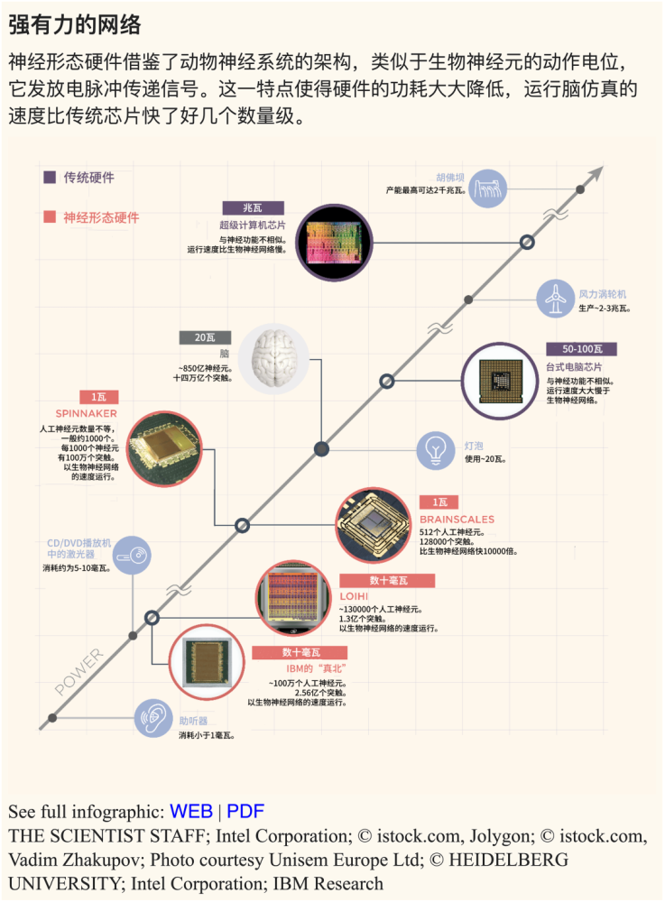 澳门特马预测与解析，探索未来的幸运之门（精选解释解析落实）