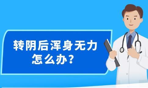 新澳精准资料免费大全，解析、落实与精选解释