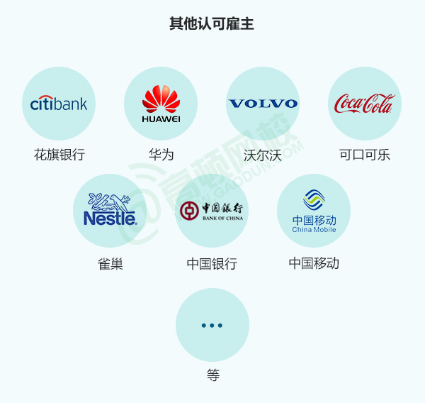 澳门最精准正最精准龙门图片，解析与落实精选解析