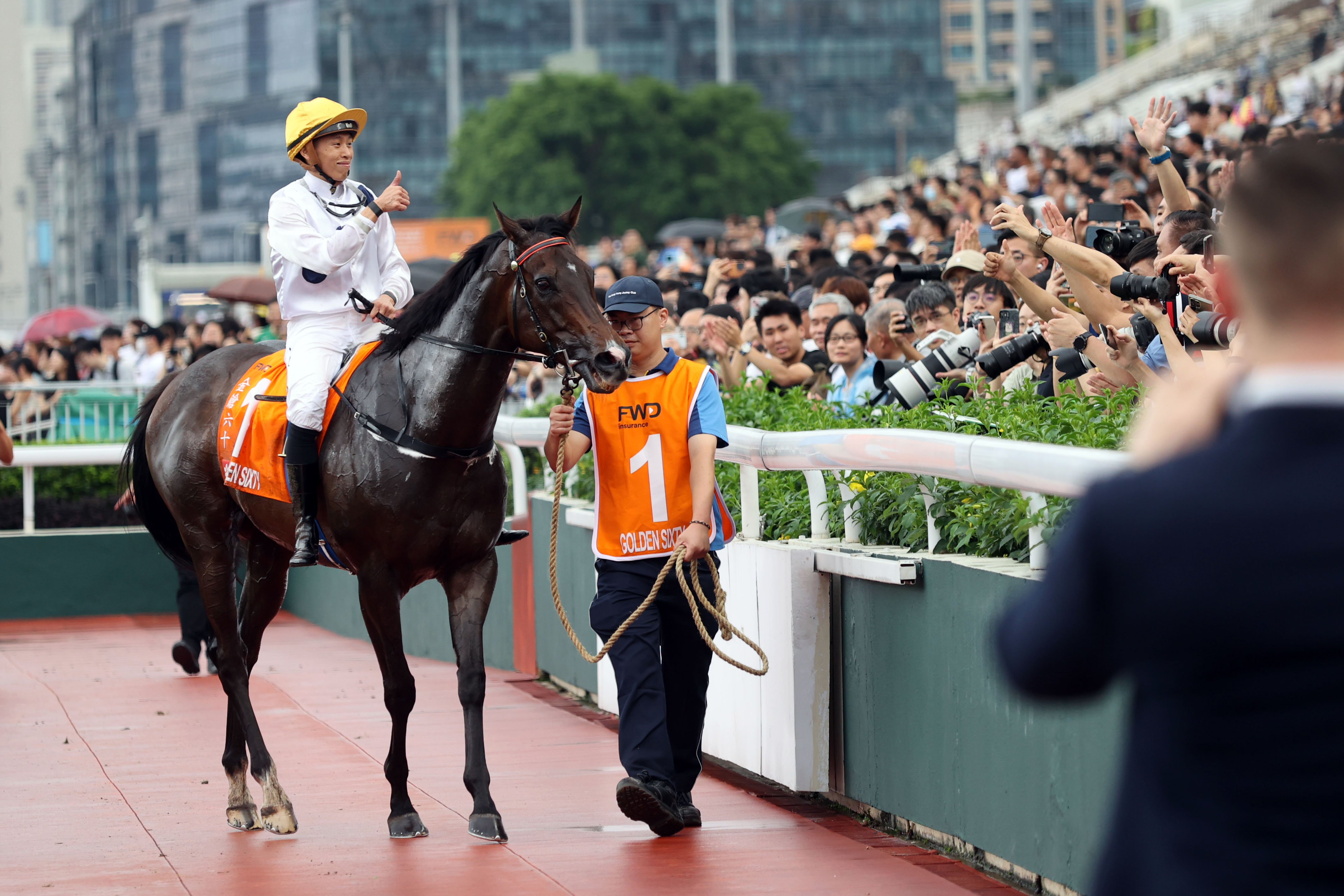 香港赛马资料更新速度之最，精选解析与落实的探讨