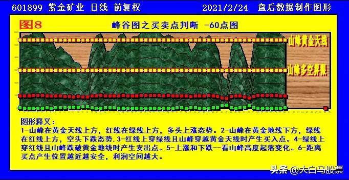 关于新跑狗图最新版的解析与落实策略，探索未来的趋势与机遇