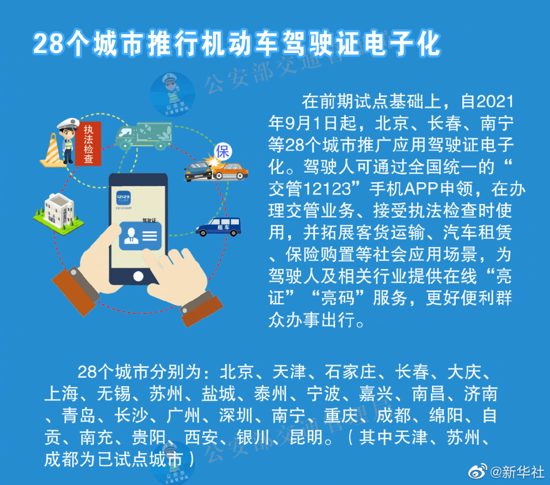 澳门一码中精准一码的投注技巧，精选解释解析与落实策略