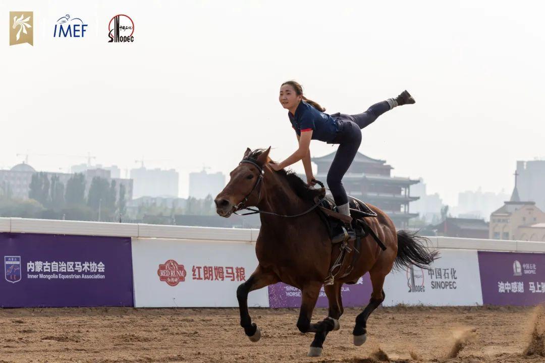 关于新奥免费观看资料的深度解析与落实策略