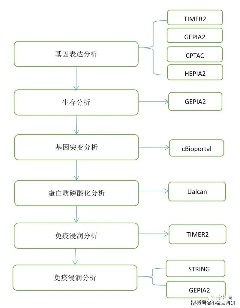 新澳内部资料最准确，精选解释解析落实的重要性