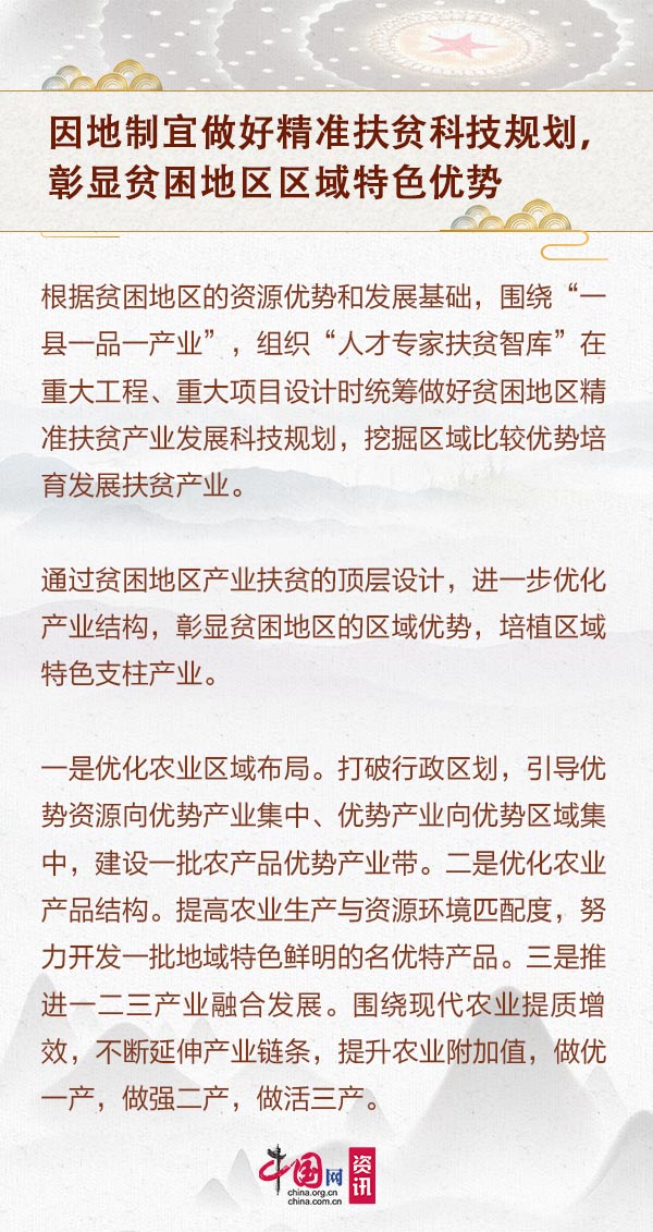 最准一肖一码，深度解析与精准评论