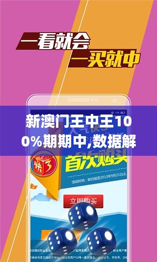 探索新澳门王中王免费精选解释解析落实之路