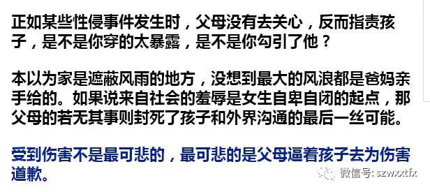 辱母案最新视频再曝光，深度探讨事件背后的复杂情感与法律议题