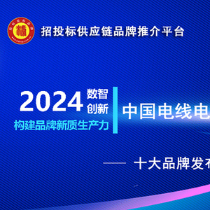 唐晓琳最新消息，持续引领行业前沿的动态与成就