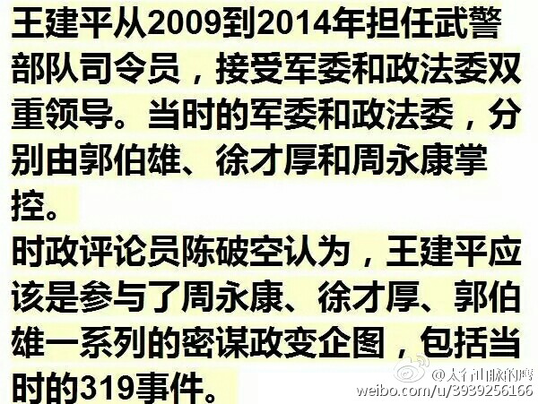 王卖平最新消息全面解析